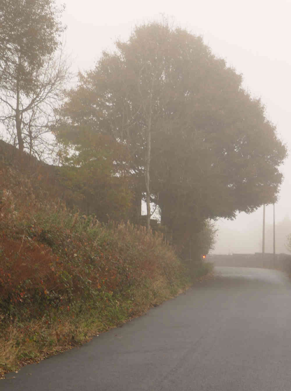 Misty Day in Marsden, Autumn 2024