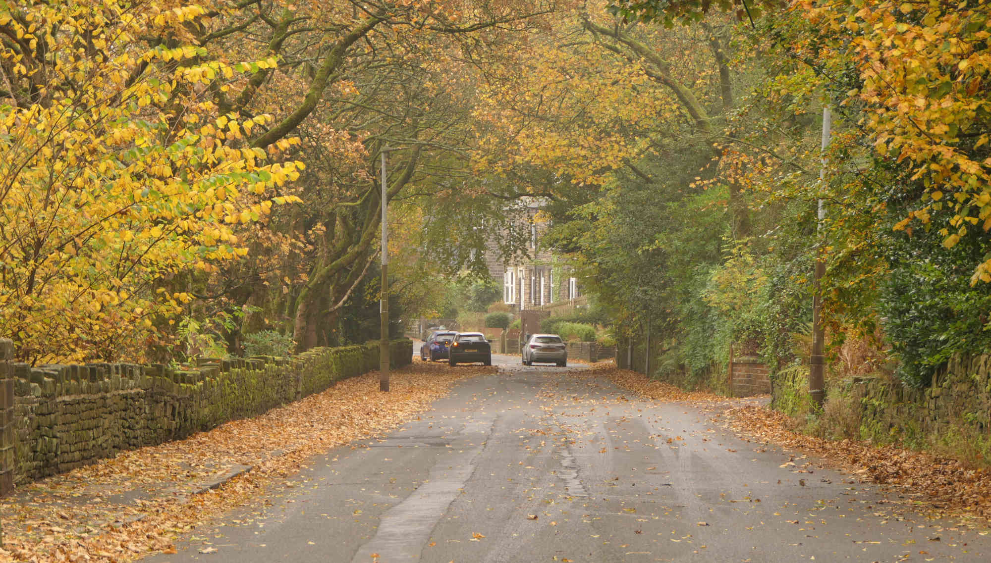 Misty Day in Marsden, Autumn 2024