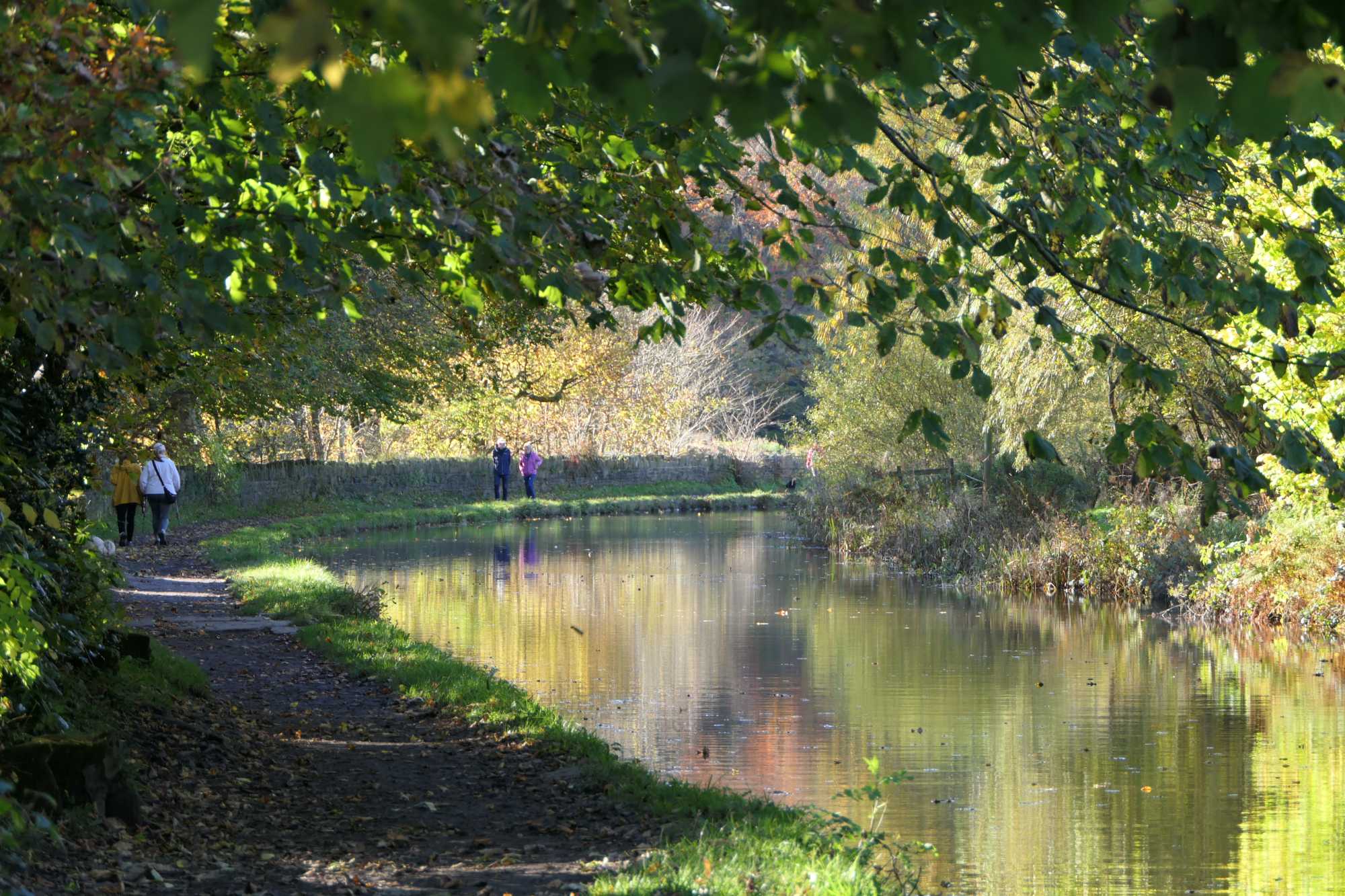 Canal towpath at lock 31E