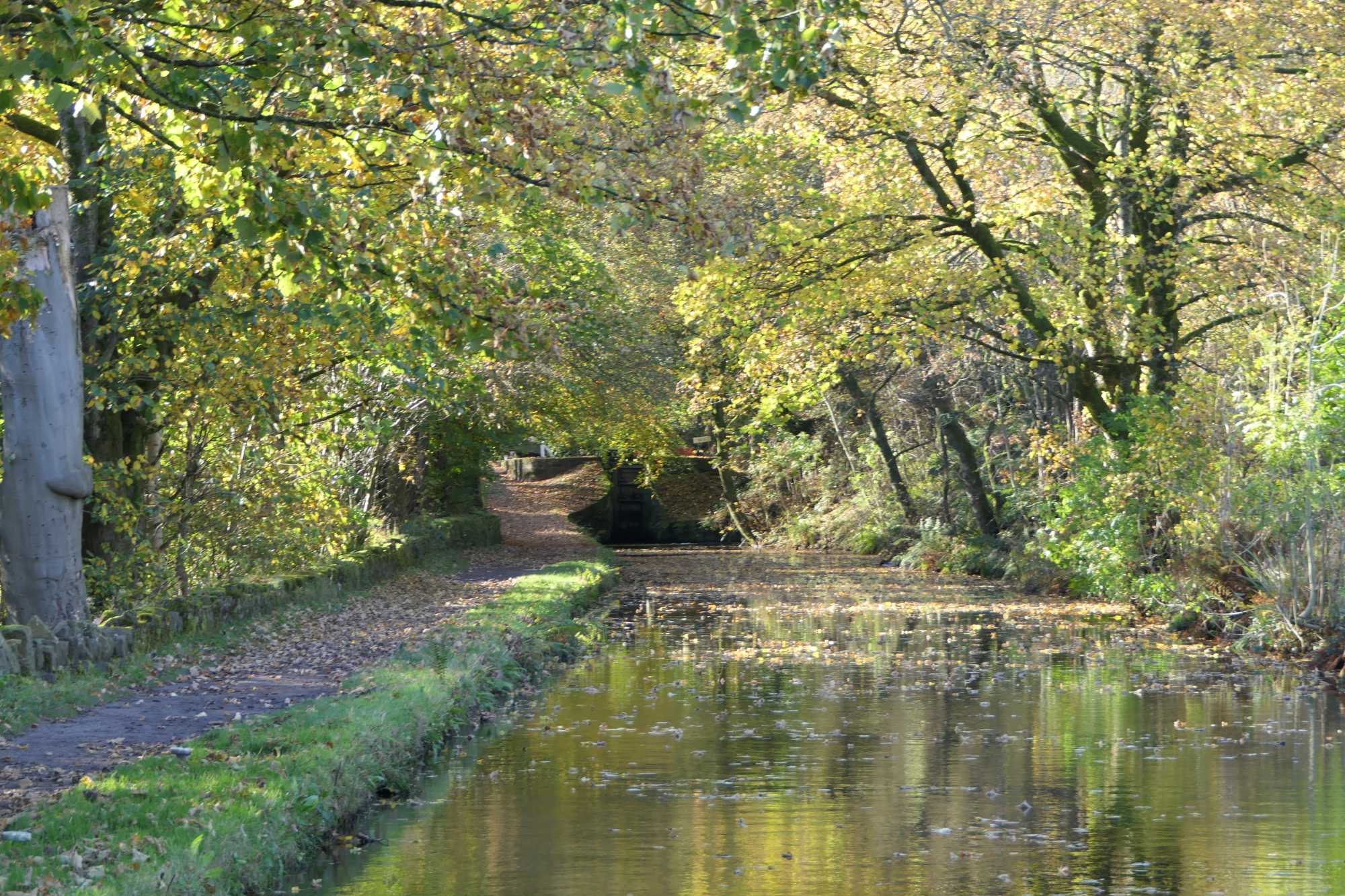 Looking Towards Lock 34E