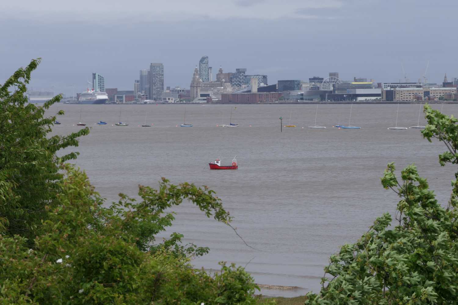 Photo of the Liverpool waterfront, taken from the Shorefields Nature Park.