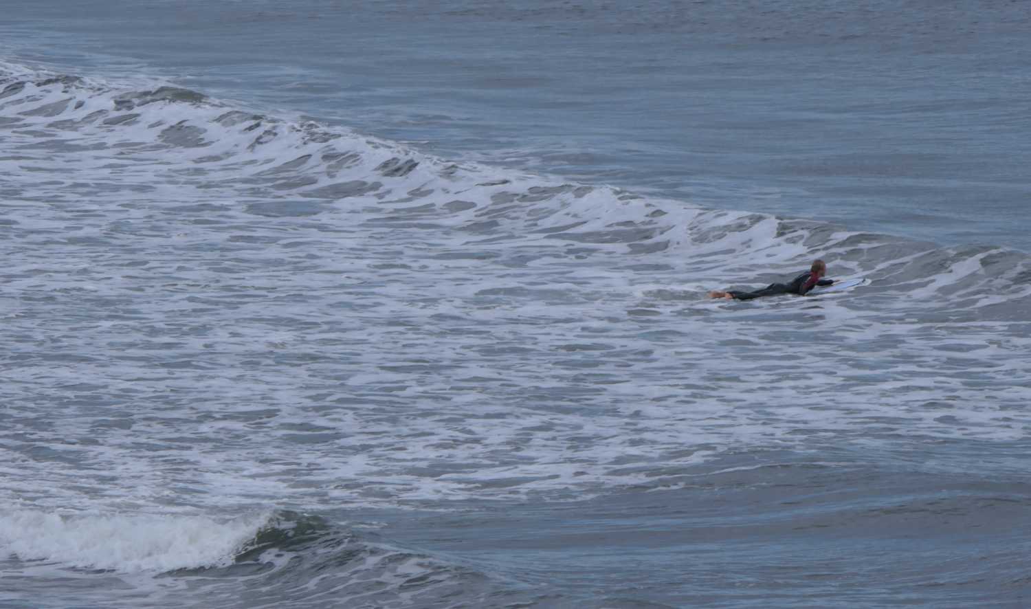 Surfer in the bay at Tynemouth