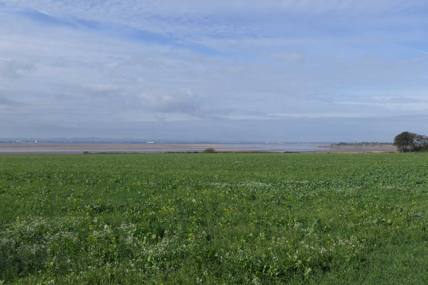 View of the River Mersey from Hale Lighthouse, one.