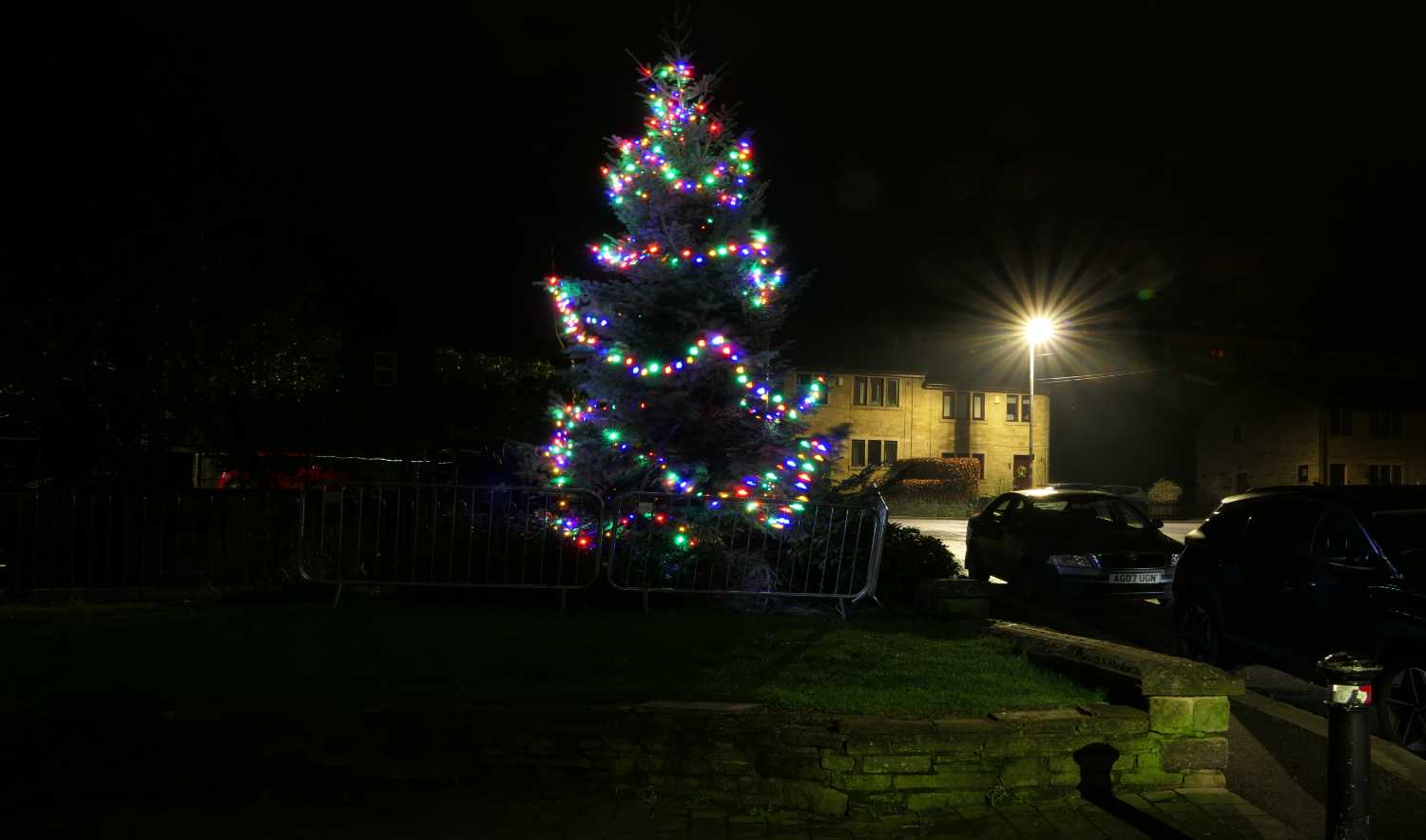 Christmas tree in Marsden park