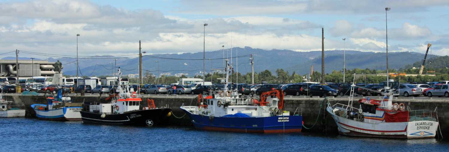 Ships in the port one