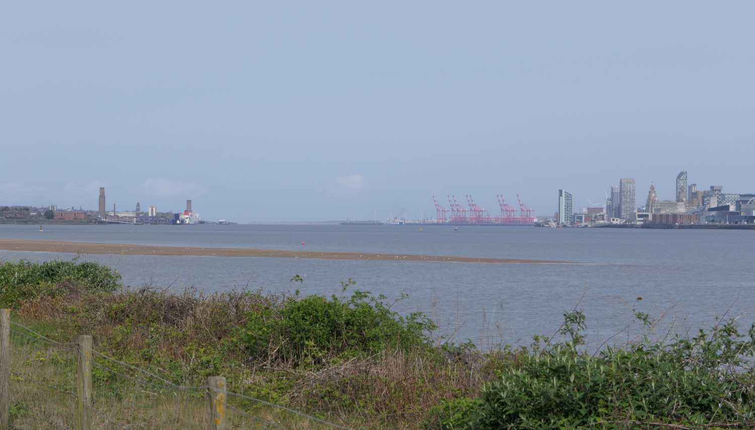 River mouth and vegitation on river bank