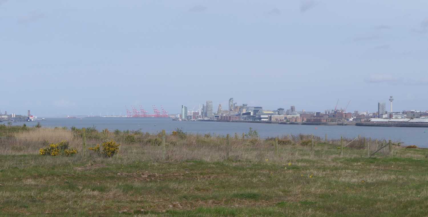 River bank looking towards Liverpool