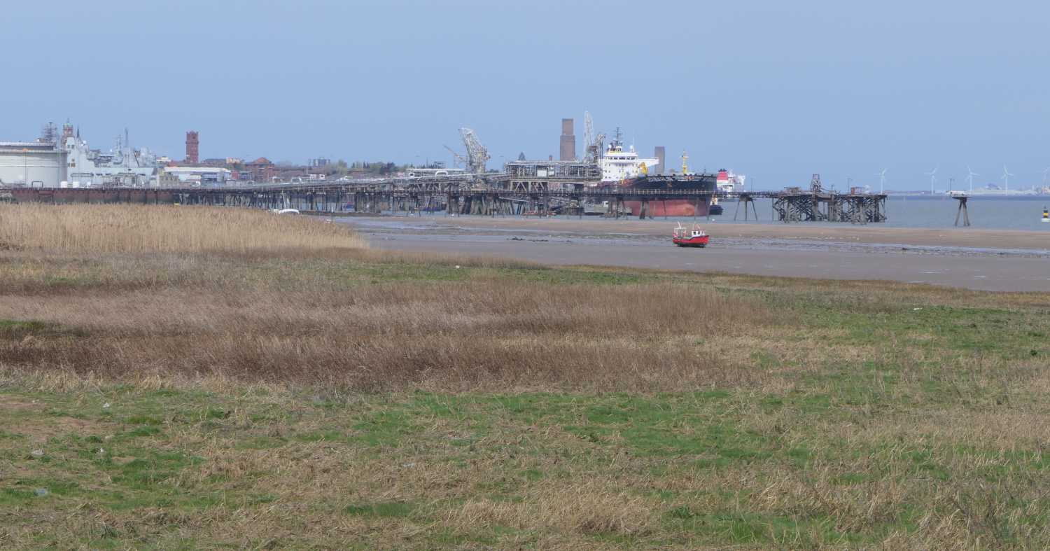 Grassland and Wirral bank of the Mersey