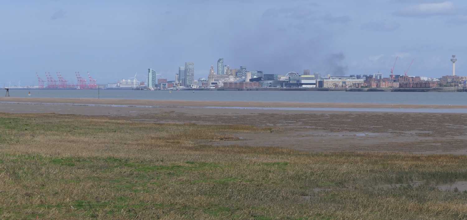 Grassland and Liverpool bank of the Mersey