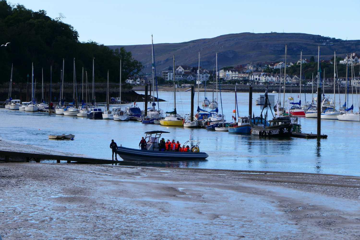 Tour boat arriving