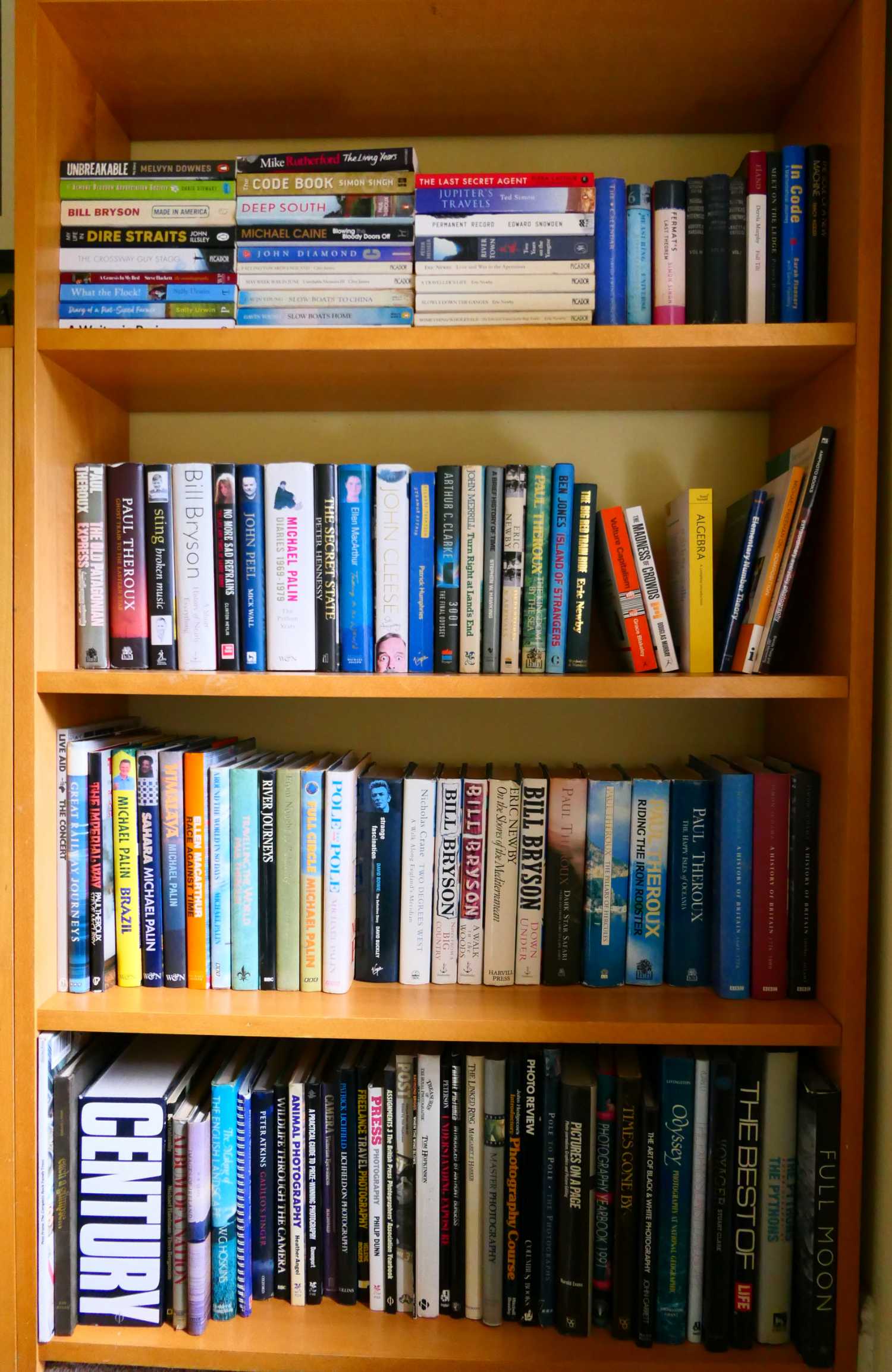 Bookcase containing my books