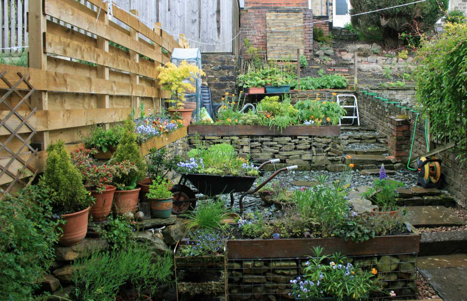 Garden Fence 2011
