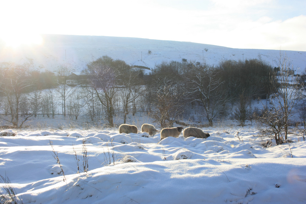 Snow in Marsden