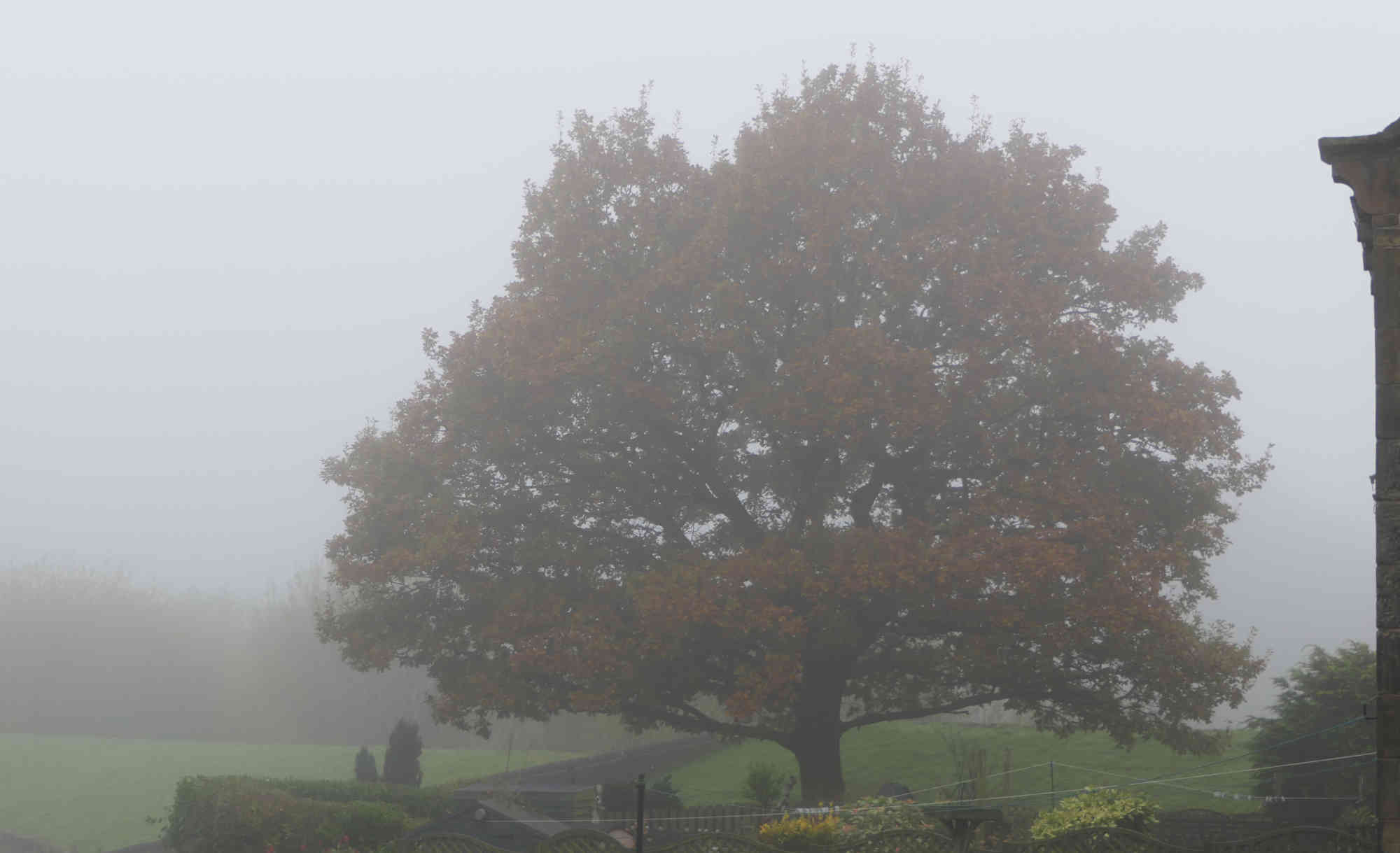 Misty Day in Marsden, Autumn 2024